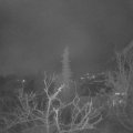 Webcam_20220117-060000