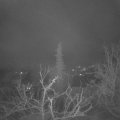 Webcam_20220117-061500