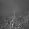 Webcam_20220117-063000