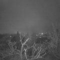 Webcam_20220117-073000