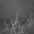 Webcam_20220118-050000