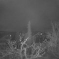 Webcam_20220118-053000