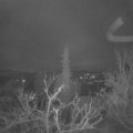Webcam_20220118-061500