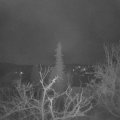 Webcam_20220119-050000