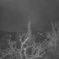 Webcam_20220119-051500