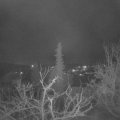 Webcam_20220119-063000