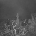 Webcam_20220119-064500