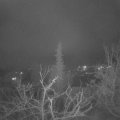 Webcam_20220119-220000