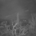 Webcam_20220120-051500