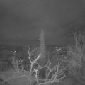 Webcam_20220121-050000