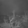 Webcam_20220121-054500