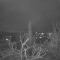 Webcam_20220122-174500