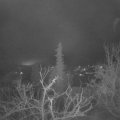 Webcam_20220125-064500