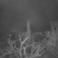 Webcam_20220127-054500