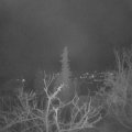 Webcam_20220127-064500
