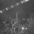 Webcam_20220127-220000