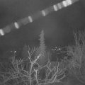 Webcam_20220128-050000