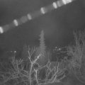 Webcam_20220128-051500