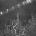 Webcam_20220128-054500