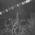 Webcam_20220128-060000