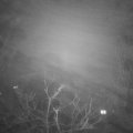 Webcam_20220129-204500