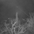 Webcam_20220130-053000