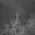 Webcam_20220130-060000