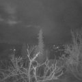 Webcam_20220130-070000