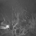Webcam_20220131-054500