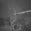 Webcam_20220131-060000