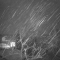 Webcam_20220131-061500