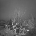Webcam_20220131-064500