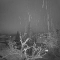 Webcam_20220131-070000