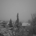 Webcam_20220131-074500