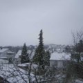 Webcam_20220131-103000