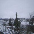 Webcam_20220131-110000