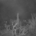 Webcam_20220201-050000