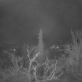 Webcam_20220201-060000