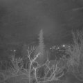 Webcam_20220201-061500