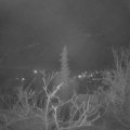Webcam_20220201-063000