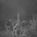 Webcam_20220201-070000