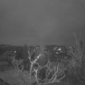 Webcam_20220201-071500
