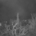 Webcam_20220202-050000