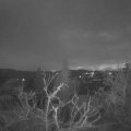 Webcam_20220202-071500