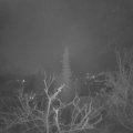 Webcam_20220203-053000