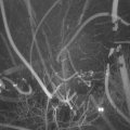 Webcam_20220204-201500