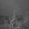 Webcam_20220206-071500