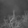 Webcam_20220209-060000