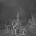 Webcam_20220210-060000