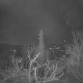 Webcam_20220210-061500